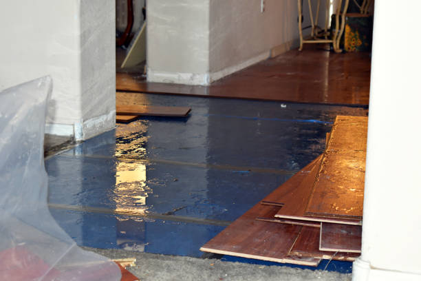 Professional Water Damage Restoration technician working in Post, TX